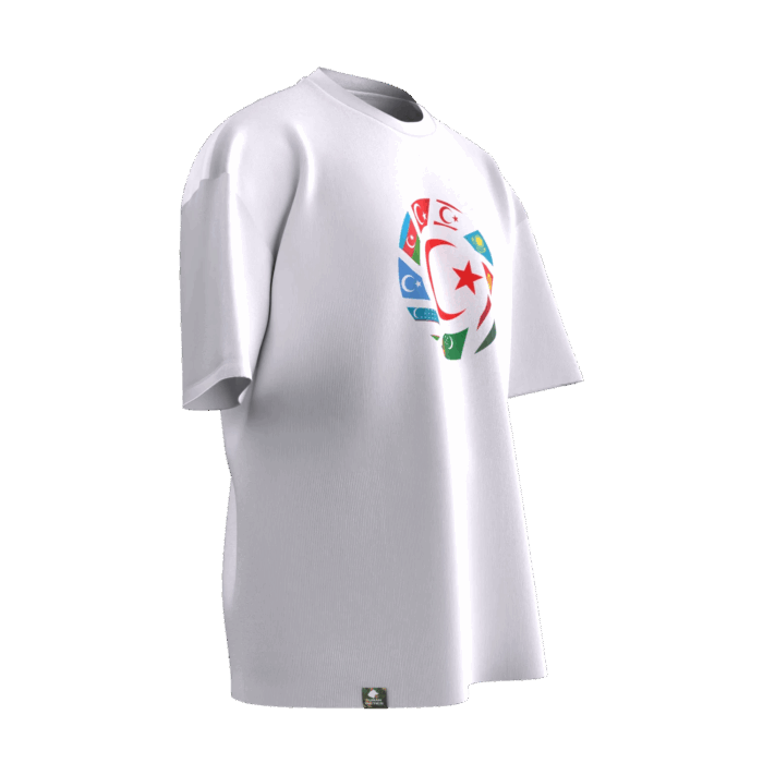 ayyıldız turan (2) Türk Bayraklı Turan Tasarımlı Unisex Oversize Pamuklu T-shirt - Görsel 3